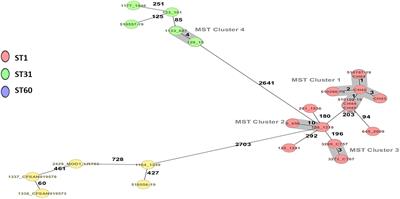 Genomic Characterization of Cronobacter spp. and Salmonella spp. Strains Isolated From Powdered Infant Formula in Chile